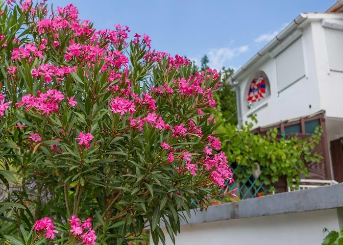 بيت ضيافة Gilda 3*